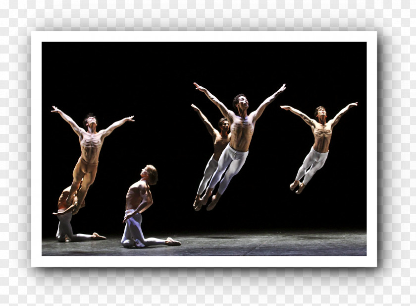 Ballet A Streetcar Named Desire Hamburg Boston Dance PNG