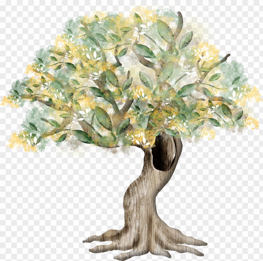Fir-tree Tree Drawing Painting Clip Art PNG