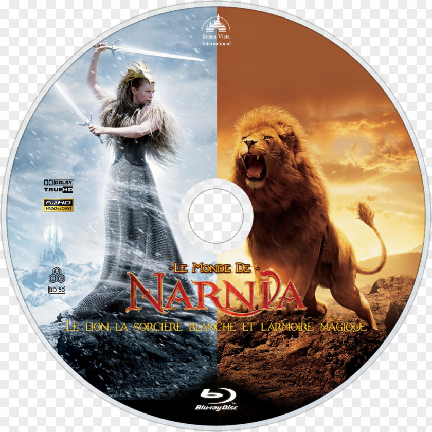 Lion Witch And Wardrobe The Chronicles Of Narnia: Lion, Jadis White Aslan PNG