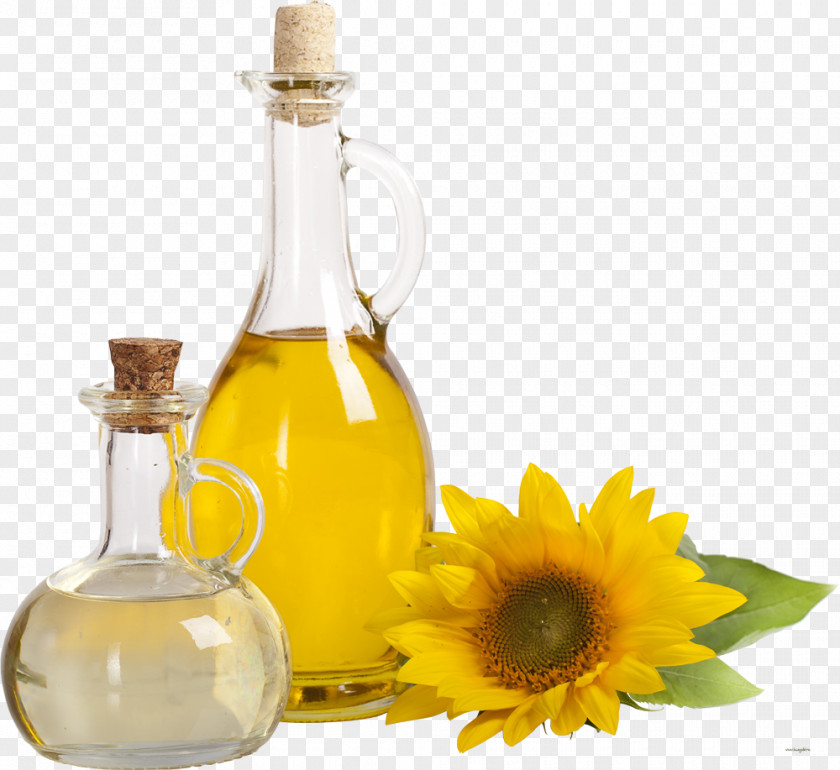 Olive Oil Common Sunflower Vegetable Seed PNG