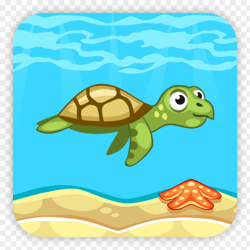 Olive Ridley Sea Turtle Box Background PNG