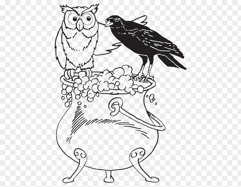 Owl Drawing Line Art Clip PNG