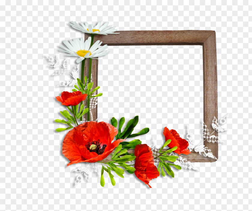 Red Frame Picture Frames Poppy Flower Photography PNG