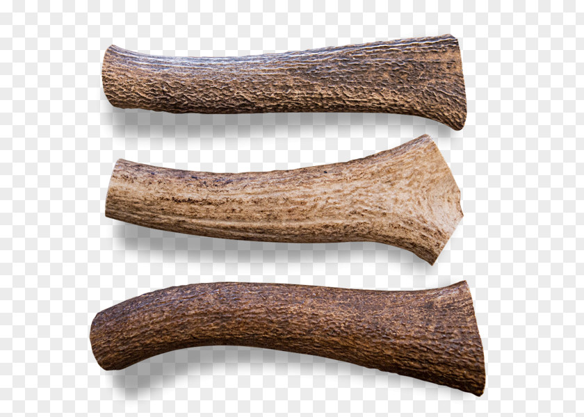 Antler Elk Animal Product Dog Chewing PNG