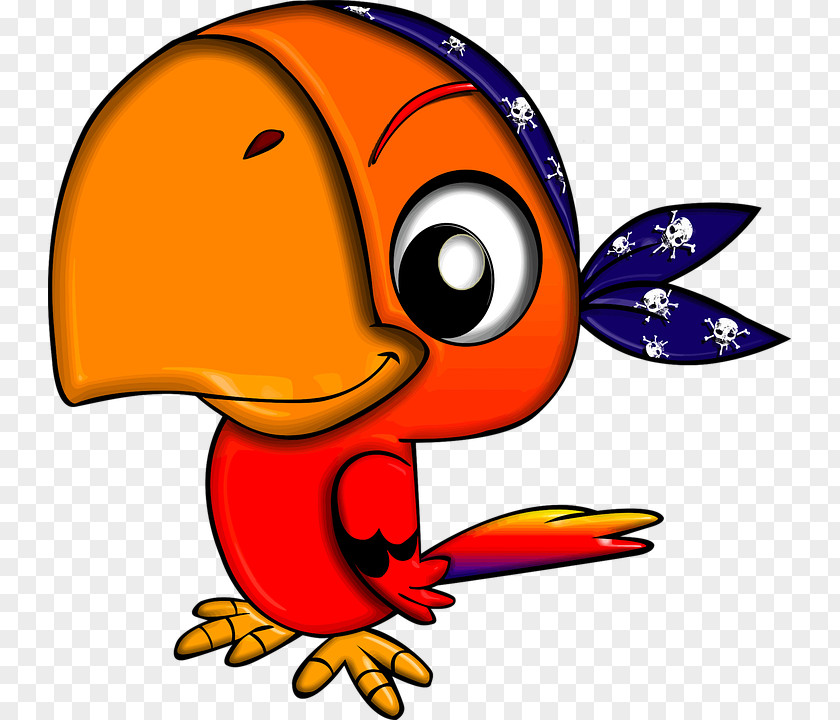 Cute Parrot File Pirate Piracy Clip Art PNG