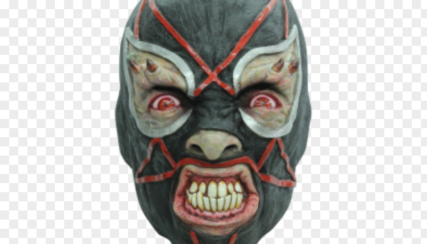 Mask Professional Wrestler Lucha Libre Venice Carnival Mexico PNG