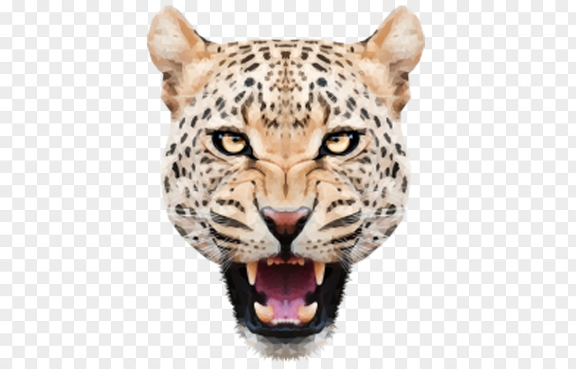 Angry Leopard Head Jaguar Felidae Tiger PNG