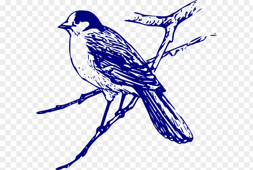 Blue Bird Bluebird Clip Art PNG