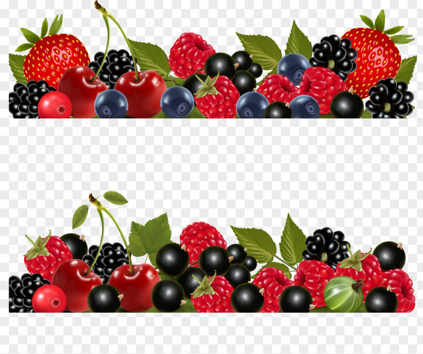 Blueberries Huckleberry Fruit Blueberry PNG