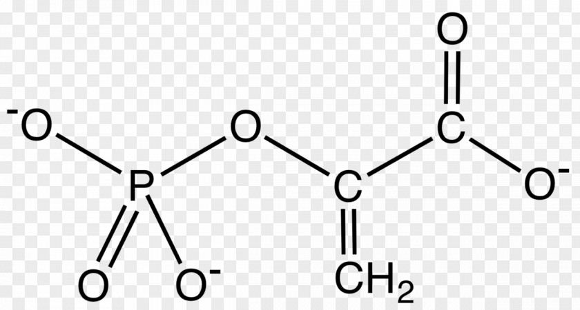 Chemical Energy Asparagine Amino Acid Alanine Molecule Substance PNG