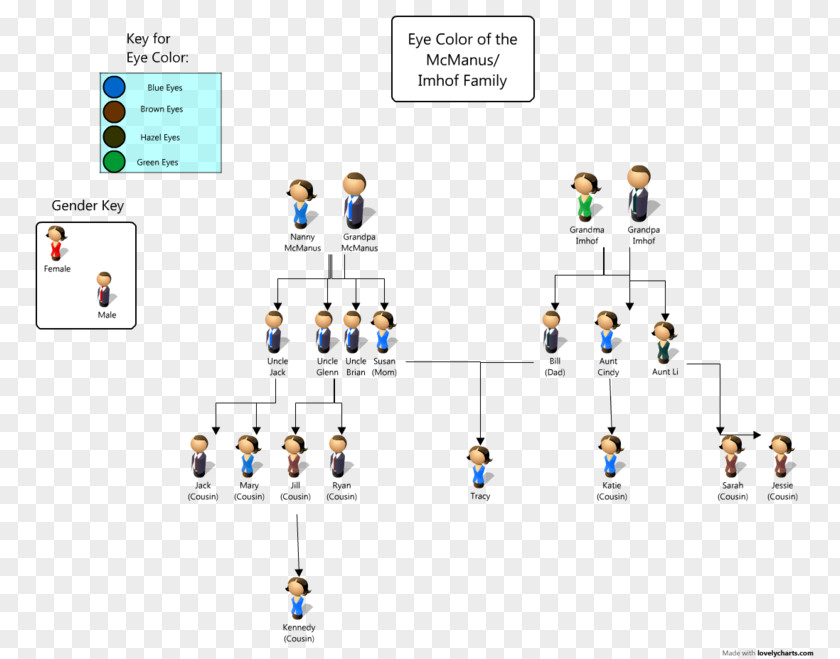 Eye Pedigree Chart Color Genetics Family Tree Dominance PNG