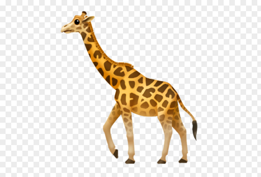 Giraffes World Emoji Day IPhone Apple PNG