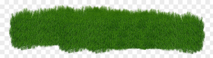 Grass Lawn Grasgroen Clip Art PNG