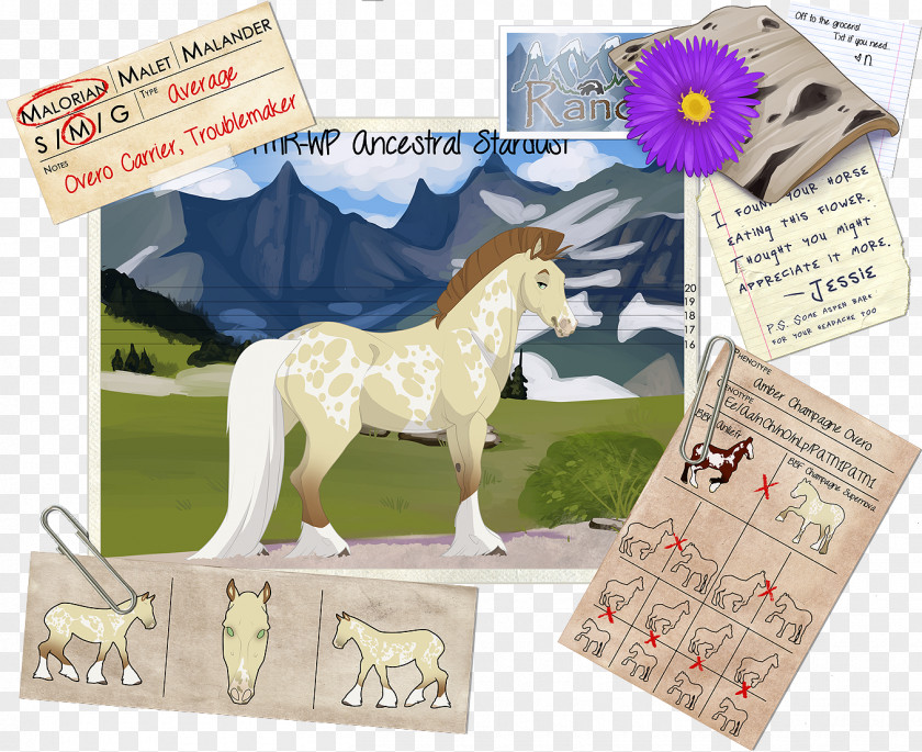 Mustang Pony Paper Mane Pembroke Welsh Corgi PNG