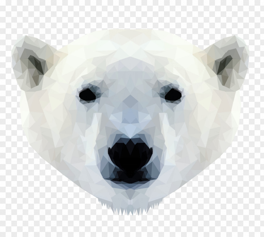 Polar Bear Walrus Cat Tiger PNG