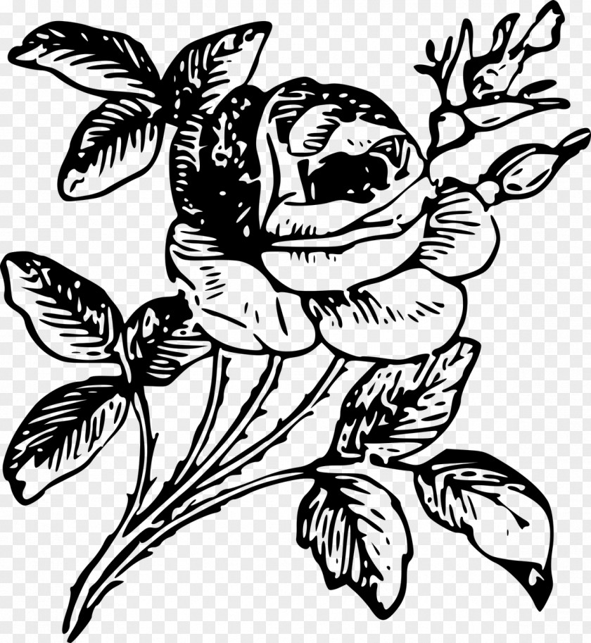 Rose Tattoo Engraving Etching Flower PNG