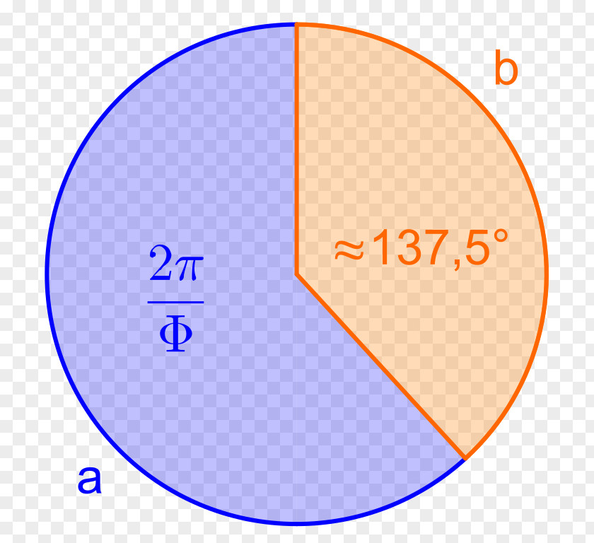Circle Golden Ratio Angle Cirkelbue Mathematics PNG