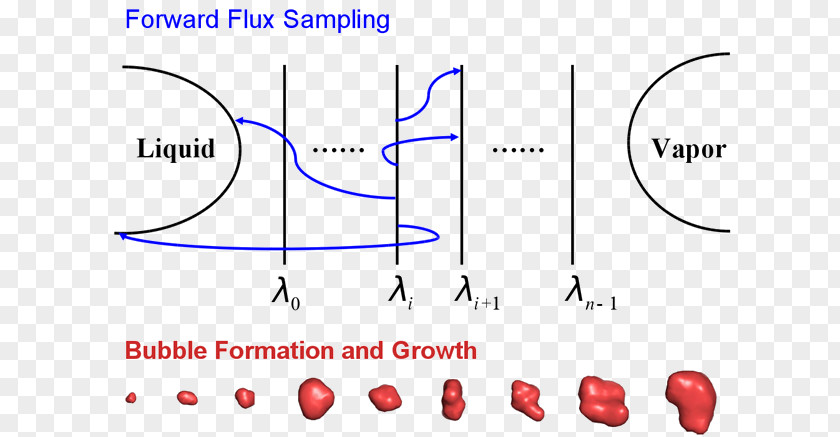 Dynamic Particle Organism Line Document Point PNG