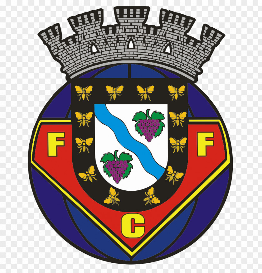 Football F.C. Felgueiras FC 1932 Taça De Portugal Moreirense S.C. Farense PNG