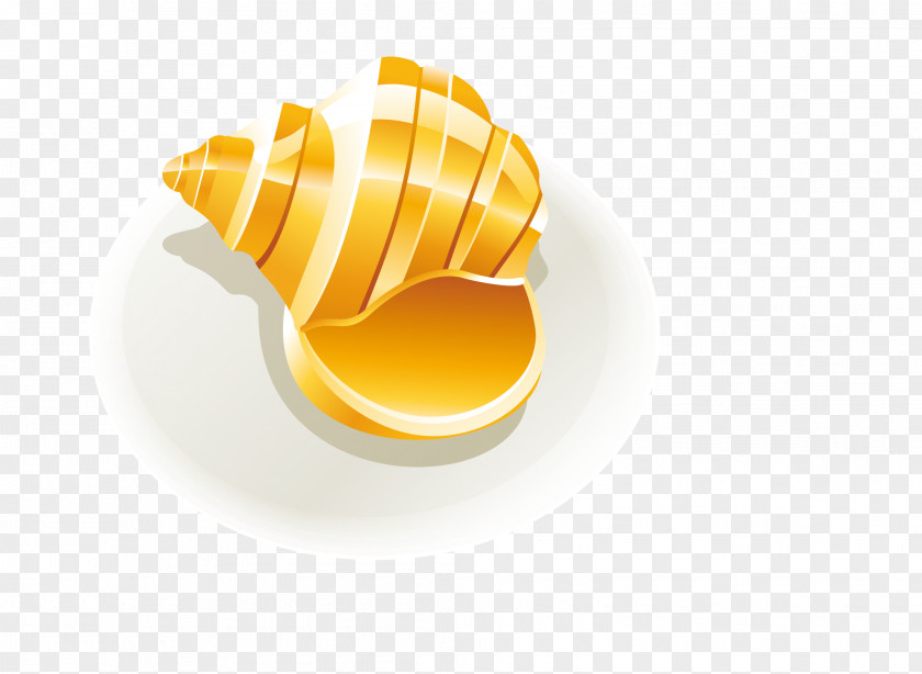 Golden Conch Yellow PNG