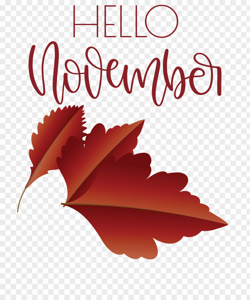 Hello November November PNG