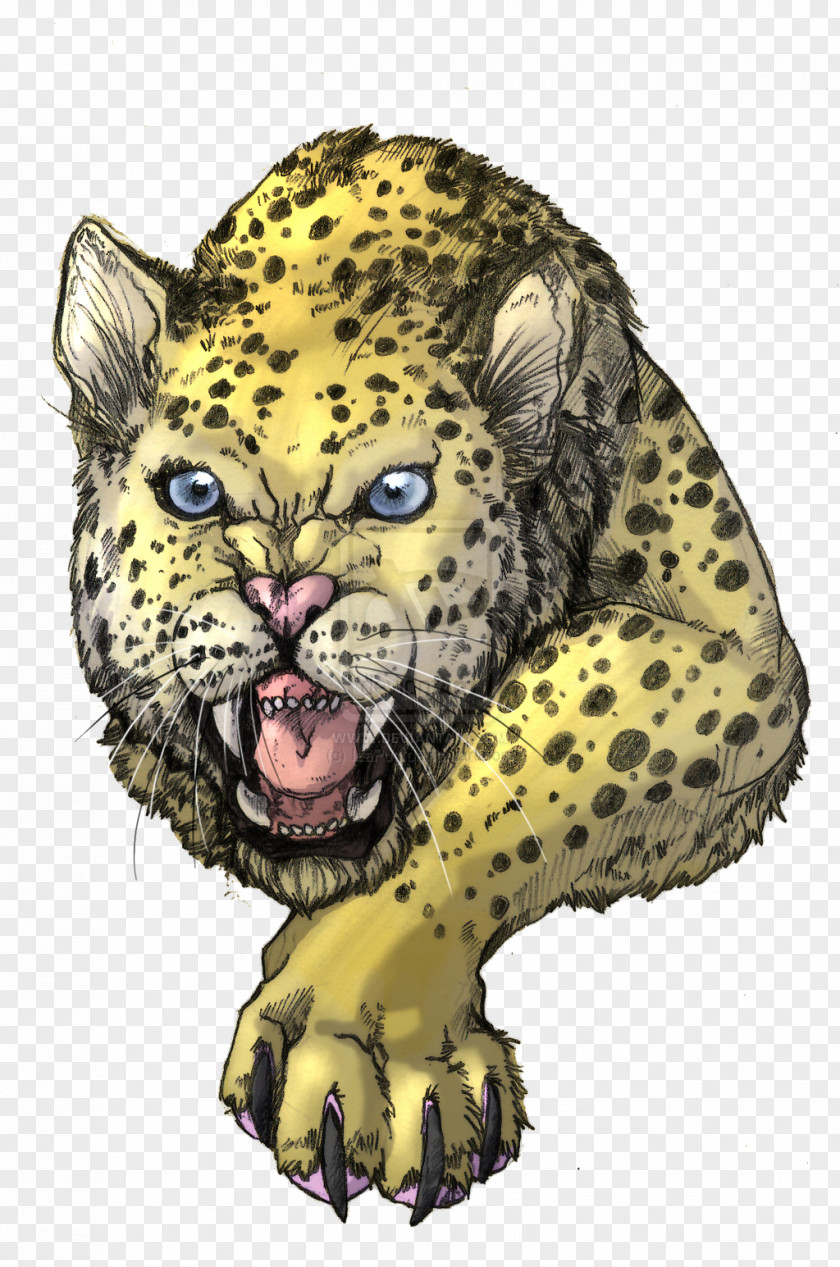 Leopard Snow Jaguar Cheetah Felidae PNG