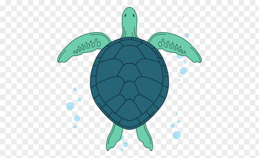 Mar Sea Turtle Drawing PNG