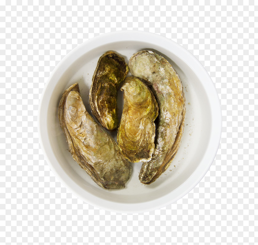 сухие завтраки Oyster Clam Mussel Recipe Ingredient PNG
