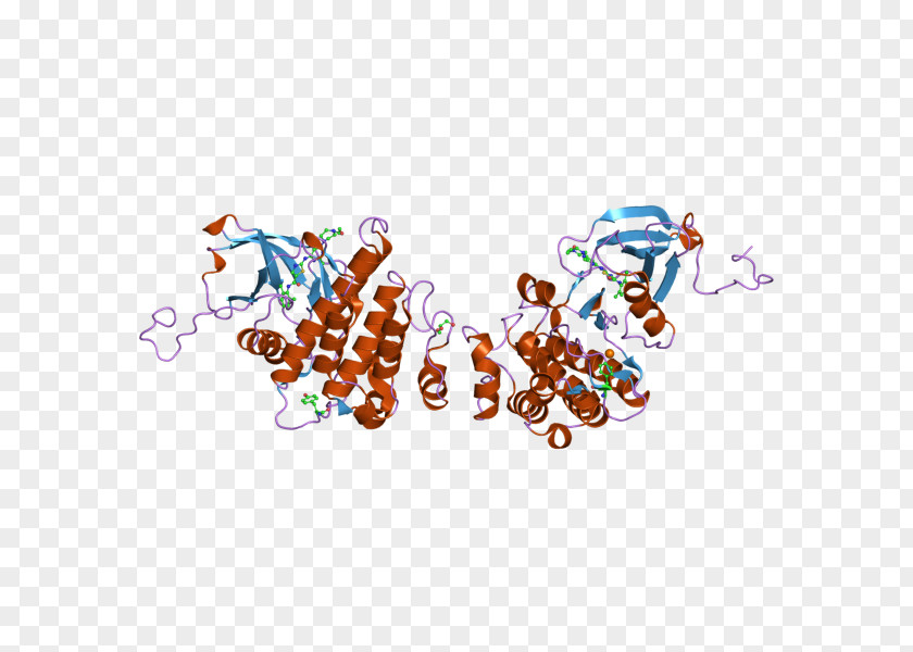ABL2 Oncogene Protein PNG