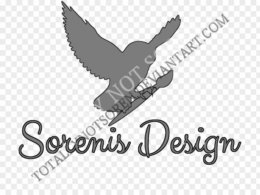 Absolutely Infographic Logo Brand Font Beak PNG