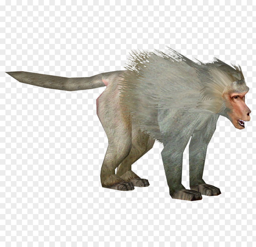 Clapping Monkey Old World Monkeys Hamadryas Baboon Clip Art Transparency PNG