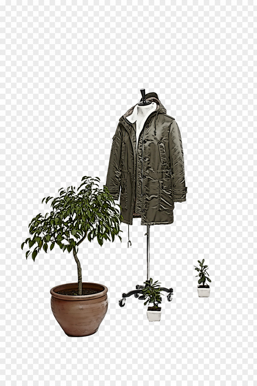 Clothes Hanger Clothing M-tree Tree PNG