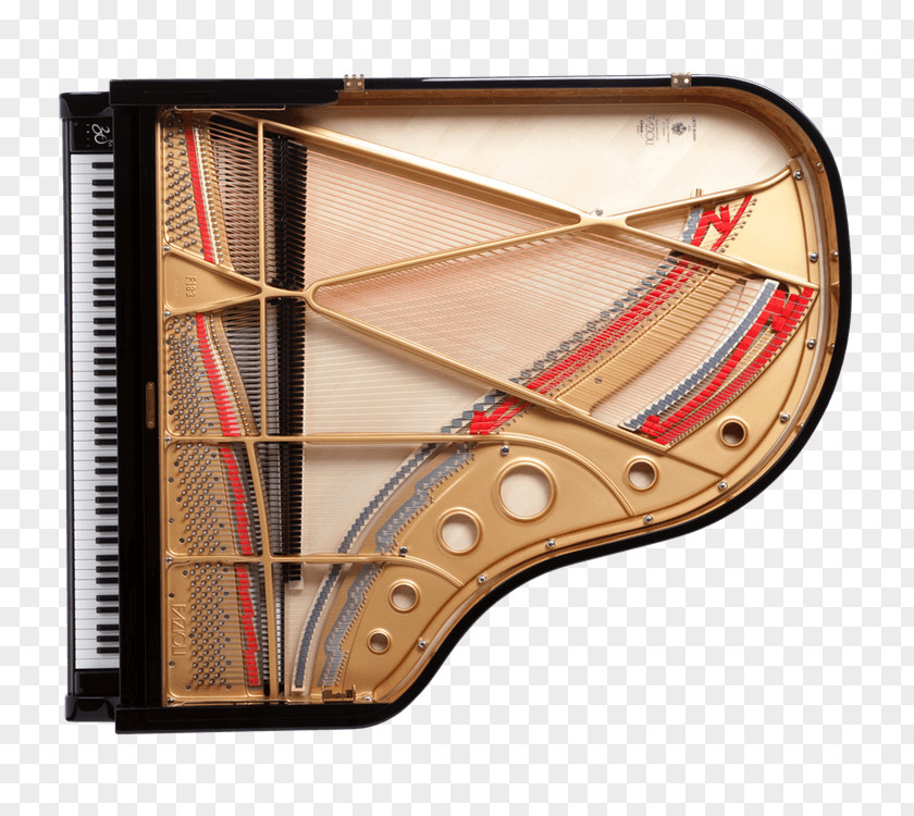 Grand Sale Piano String Fazioli Wire PNG