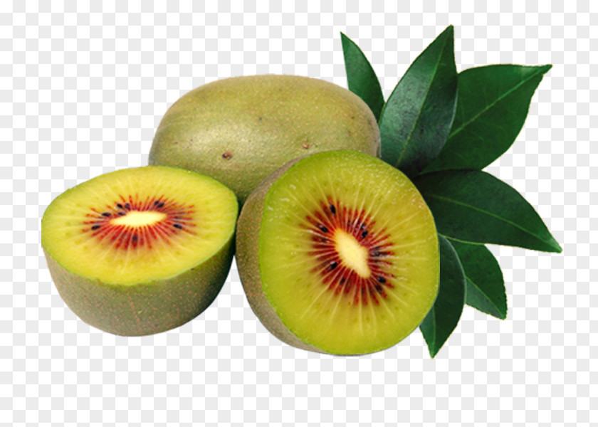 Import Fresh Fruit Kiwi Kiwifruit Auglis PNG