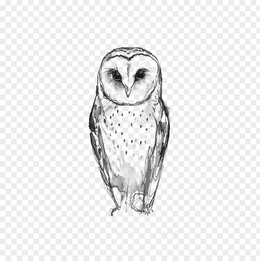 Owl Barn Tattoo Idea Drawing PNG