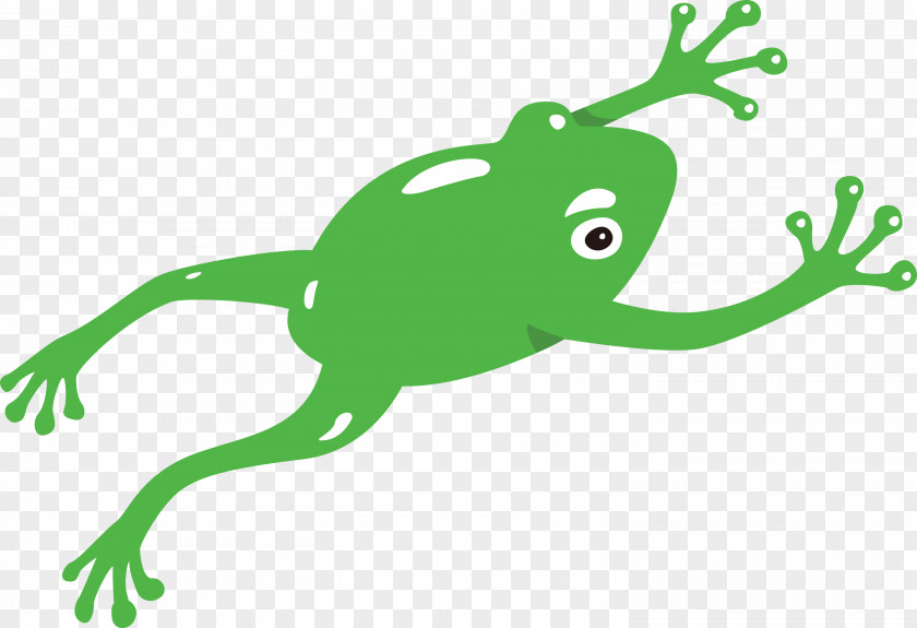 True Frog Toad Frogs Leaf Plant Stem PNG