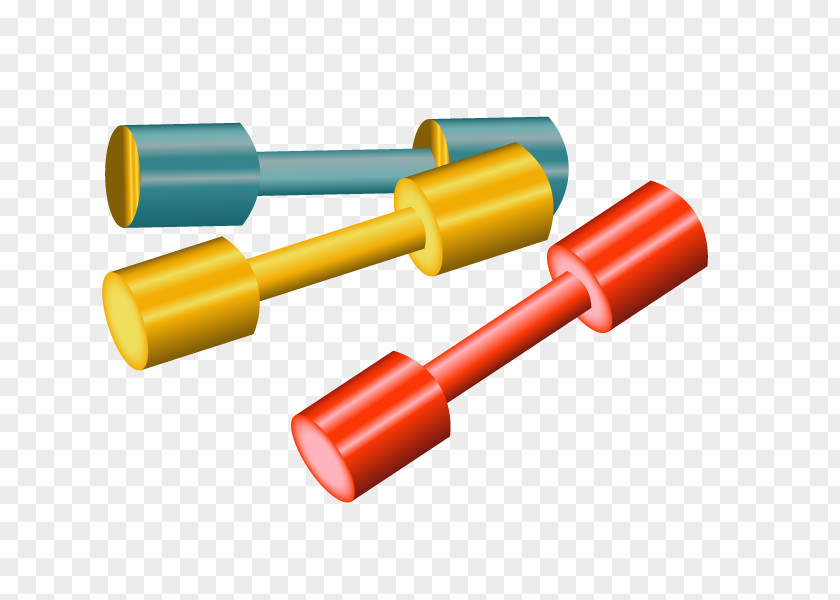 Vector Dumbbell Sports Equipment Racket Clip Art PNG