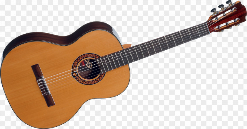 Acoustic Guitar Taylor GS Mini Mahogany Guitars PNG