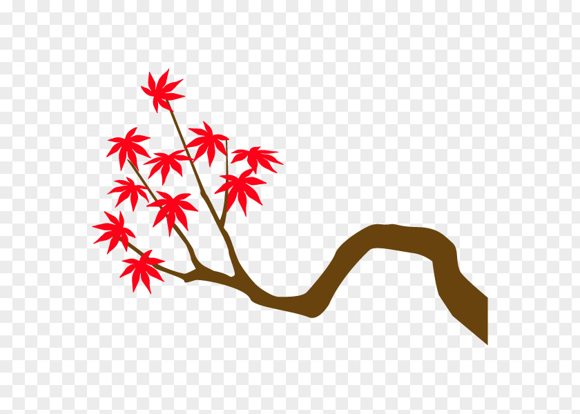 Branch Illustration Maple Plants Clip Art PNG