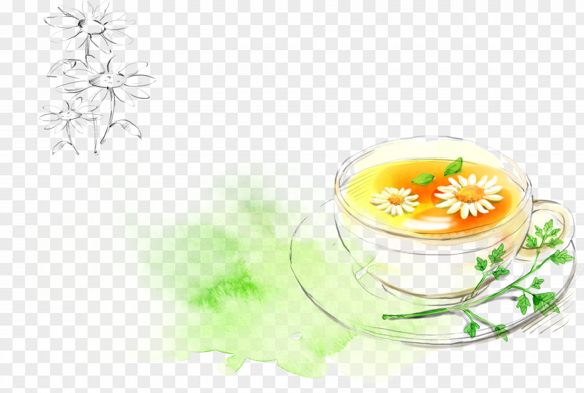 Chrysanthemum Tea,flower Tea Flowering Hibiscus PNG