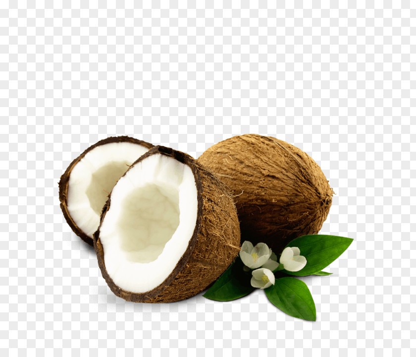 Coco Fruta A To Z Exports And Imports(coconut Suppliers,wholesaler,seller,manufacturers In Pollachi) Coconut Oil Water EXPORTERS PNG