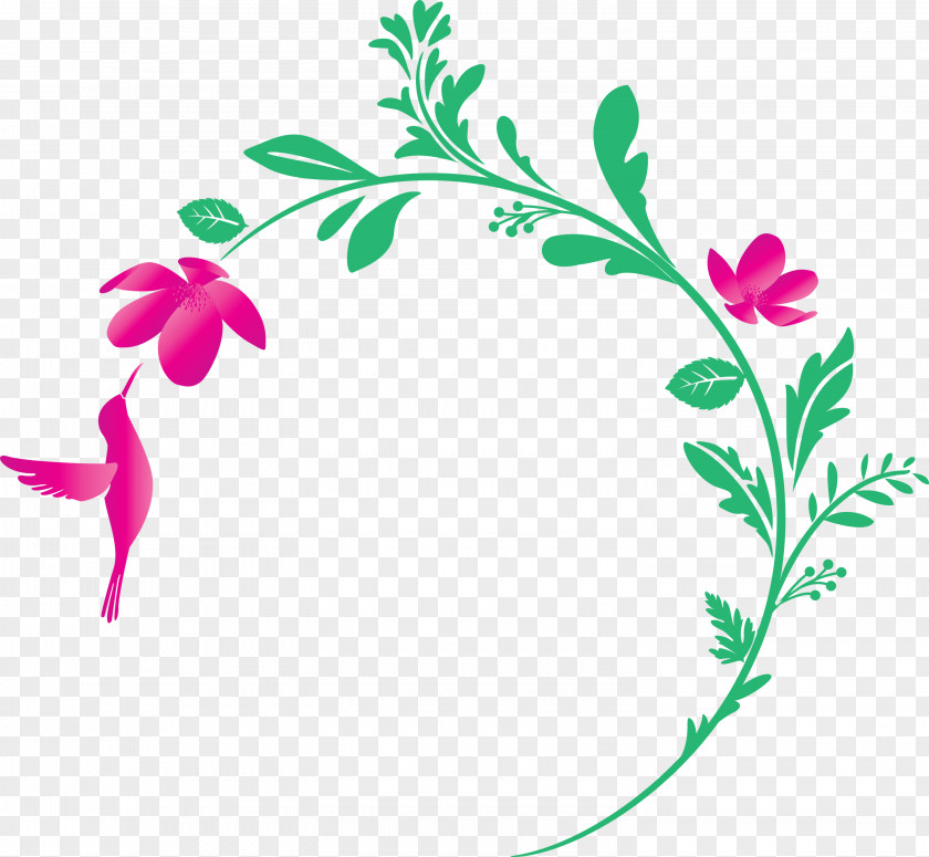 Flower Frame Floral Decoration PNG