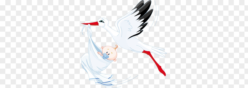 Stork PNG clipart PNG