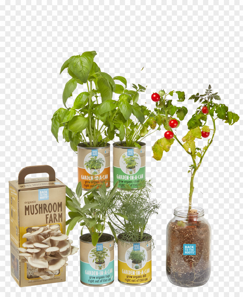 Sunflower Sprouts Growing Herbalism Flowerpot Bottle PNG