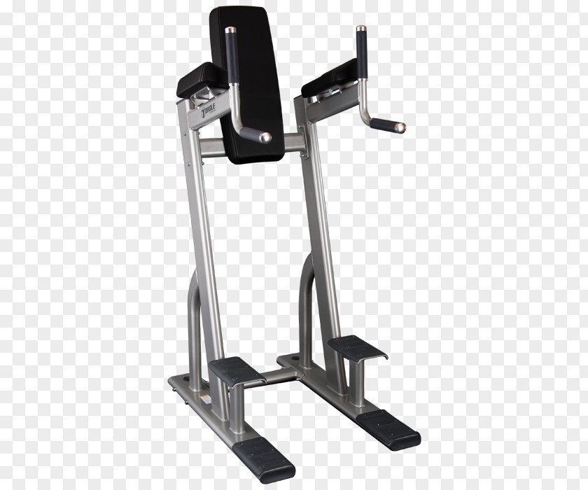 Aesthetic Paint Exercise Equipment Weightlifting Machine Power Tower Manufacturing PNG