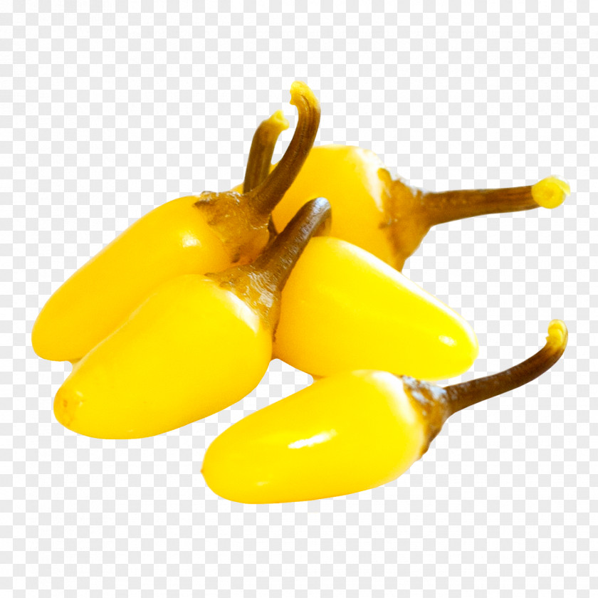 Banana Pepper Bell Jalapeño Chili PNG