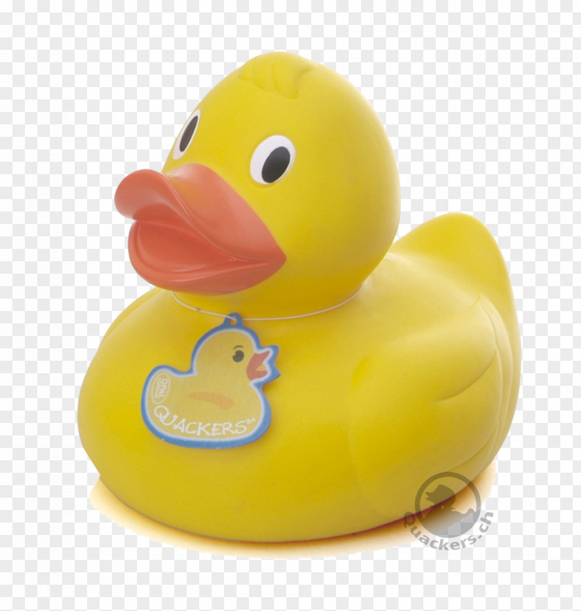 Duck Material .ch Industrial Design Swiss Franc PNG