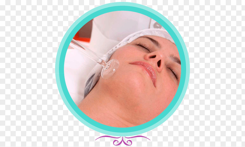 Lula Therapy Cheek Massage Masoterapia Spa PNG