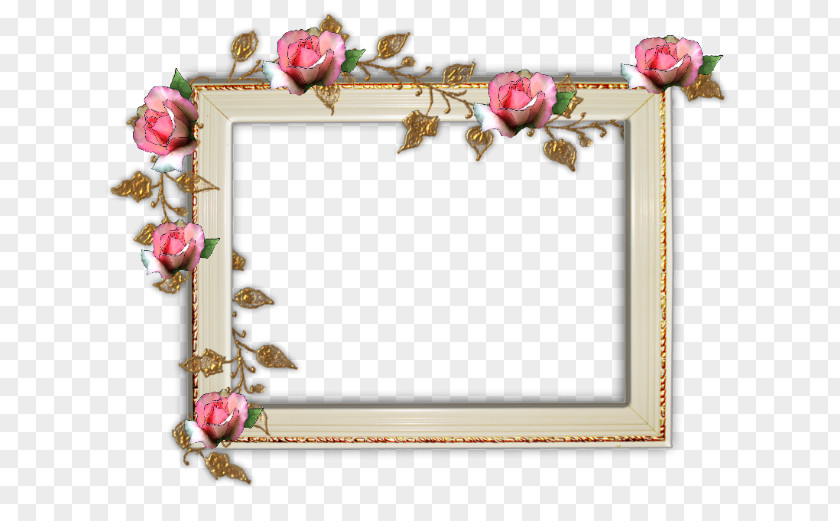 Rose Border Frame Picture Frames Digital Photo PNG