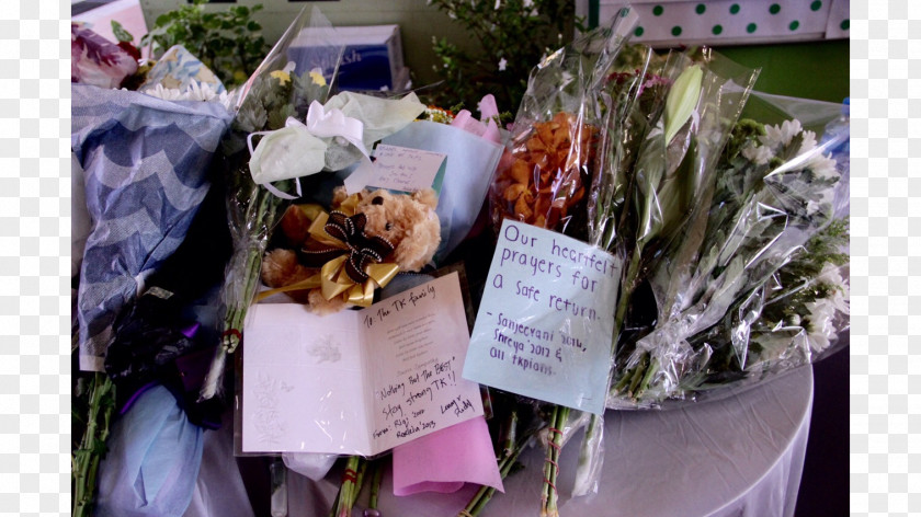 Tanjong Katong Primary School Mount Kinabalu 2015 Sabah Earthquake Singaporeans Food PNG